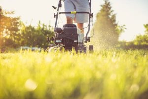 Déchets verts : changement de la fréquence de ramassage dès le 1er avril !...