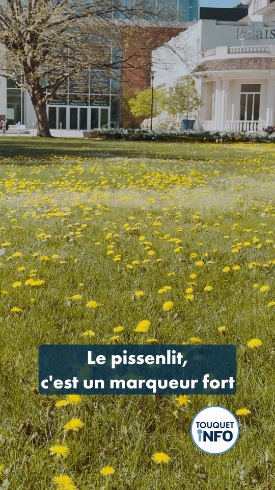 Votre nouveau Touquet Info est sorti ! Découvrez dès maintenant, en vidéo, les g...