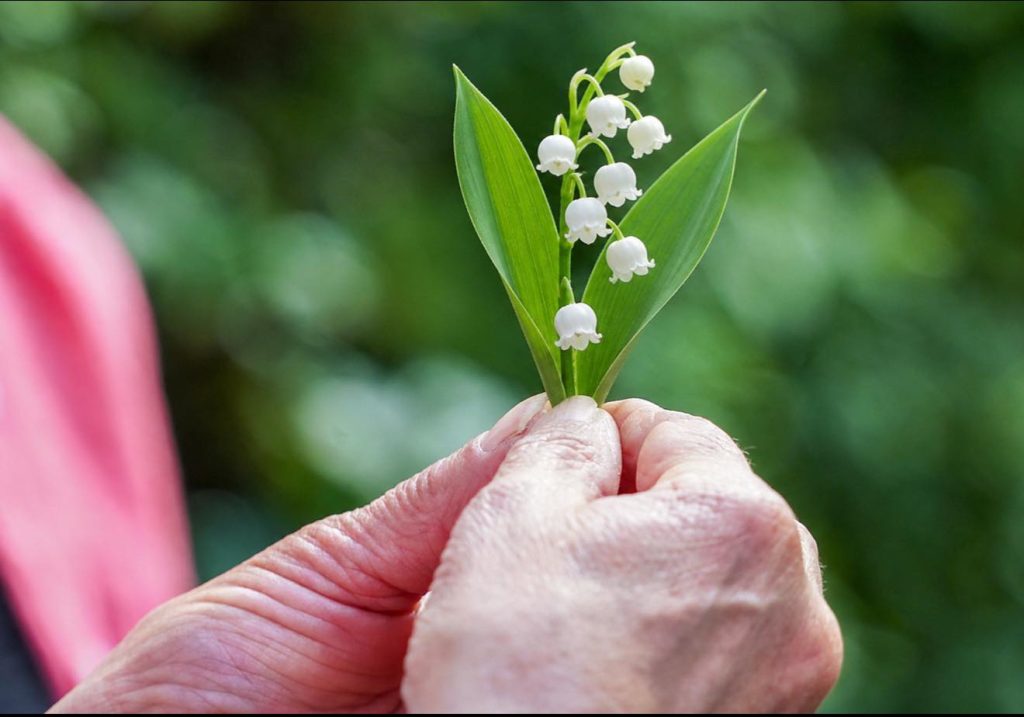 Le 1er mai, c’est bien plus qu’un brin de muguet…...