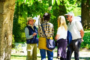 Les jardins de la Manche participent aux Journées mondiales de la Topiaire !...