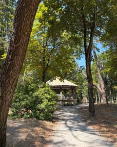 Le parc des pins et son kiosque Serge Gainsbourg...