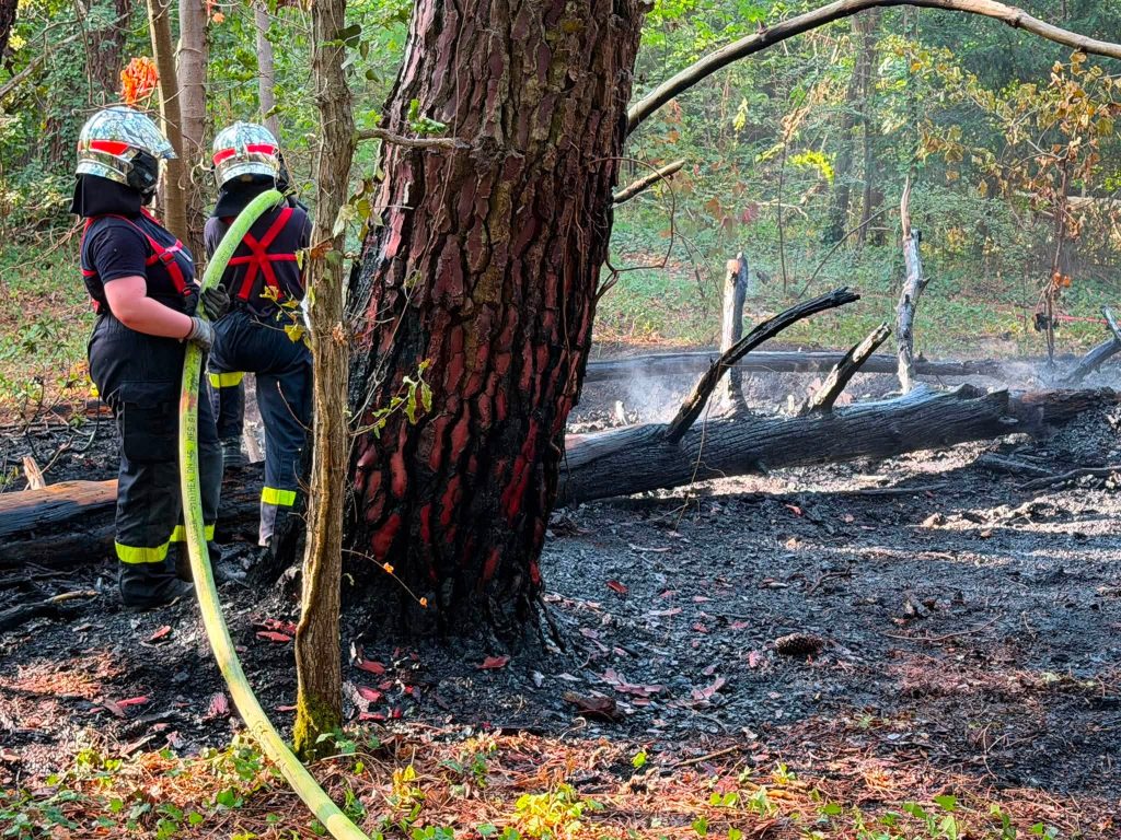 Un début d'incendie rapidement maîtrisé en forêt du Touquet-Paris-Plage...