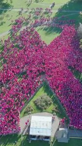 [Corrida Rose 2026]...