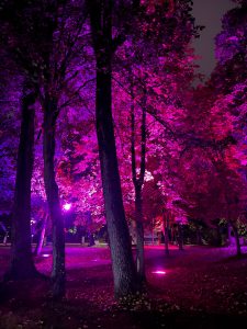 Octobre Rose : un mois pour sensibiliser au dépistage du cancer du sein...